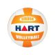 Hart SMASH Beach Volleyball