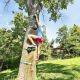 Slackers Tree Climbers